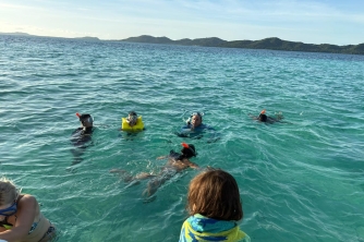 Roatan Nurse Shark Snorkeling Tour with Lunch